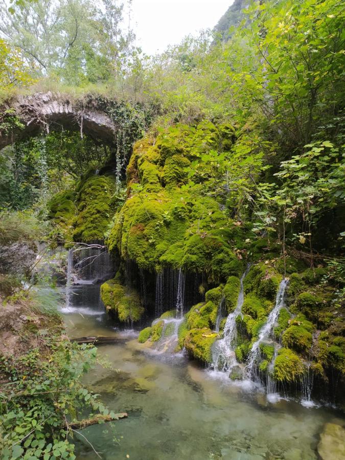 Tenuta Vallina - Golfo Di Policastro Tortorella ภายนอก รูปภาพ